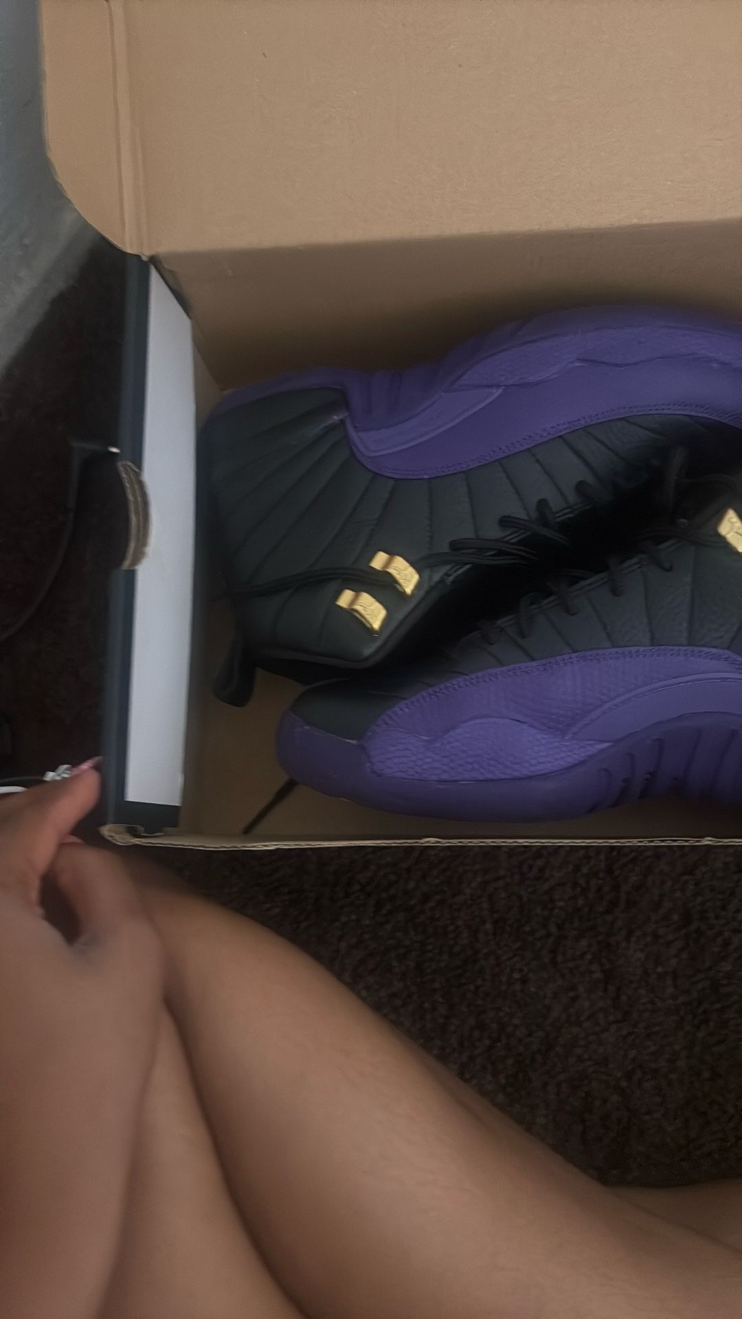 jordan 12