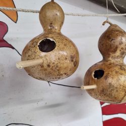 Birdhouse 