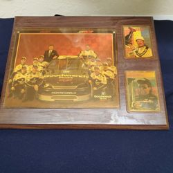 Goodwrench Racing Collectible 