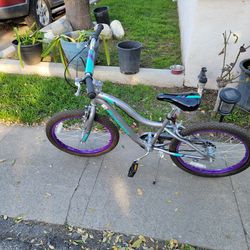 🚴‍♀️  vicycle  SCHIWIN