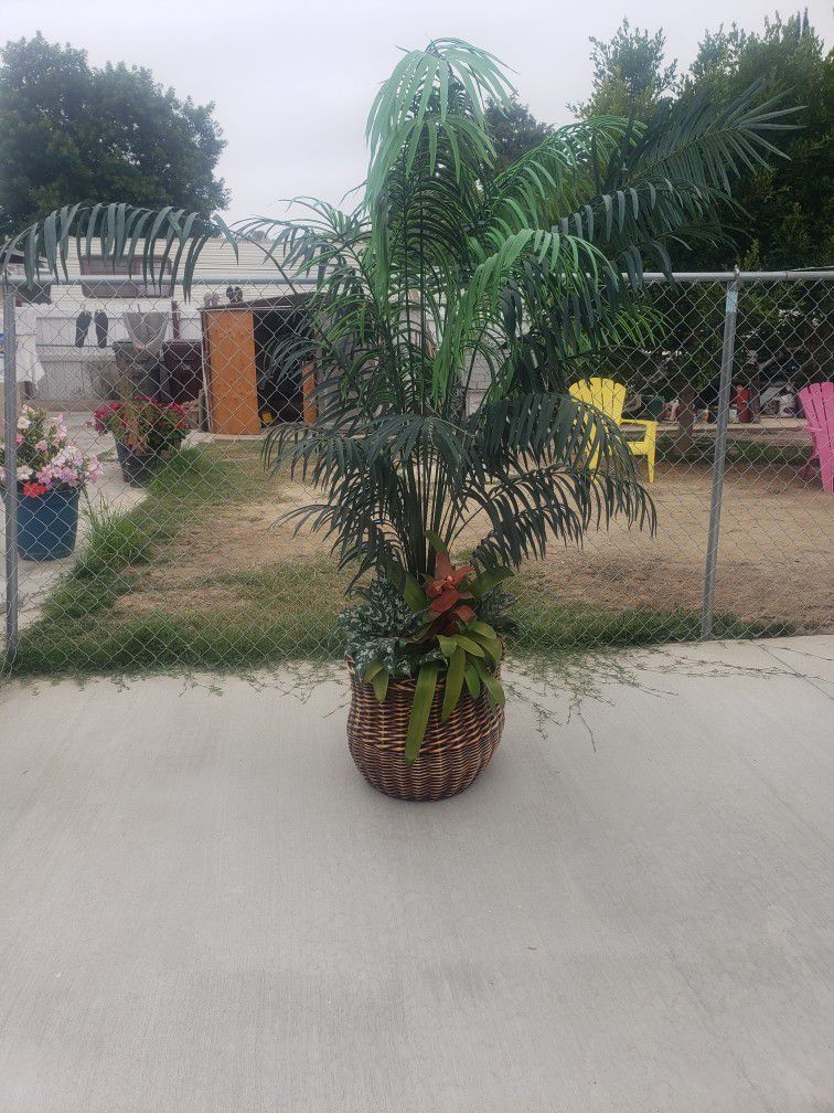 Fake Palm Tree 