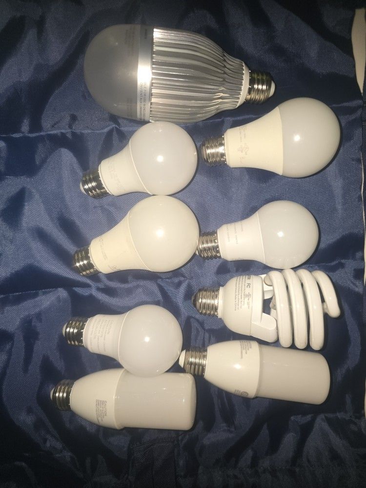 Light Bulbs