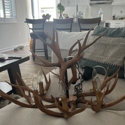 Antler chandelier
