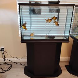 29 Gallon aquarium/Stand