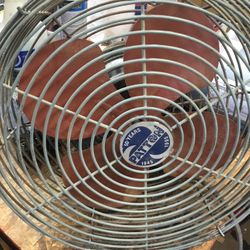 Fan