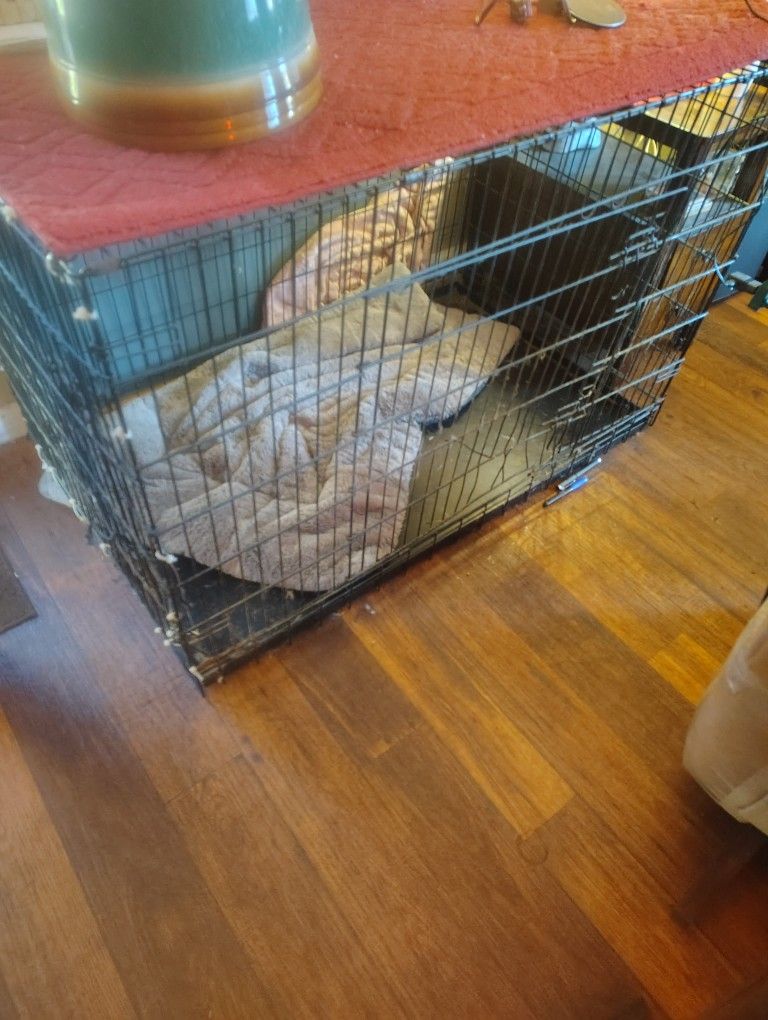FREE LX DOG CRATE