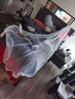 Cathedral length veil