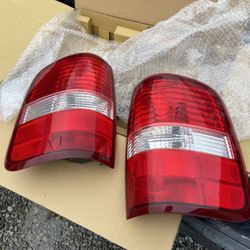 2004 F150 Rear Tail Light Cases