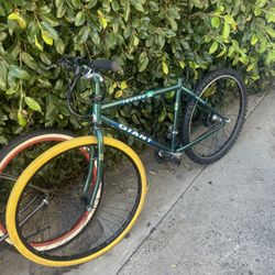 Giant Iguana Mountain Bike