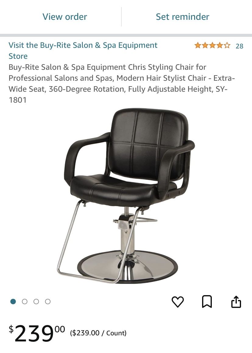 Salon Chair