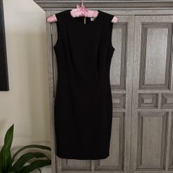 Calvin Klein Dress  $8