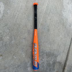 Baseball Bat