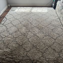 8x10 rug   and matching round rug 