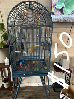 Bird cages