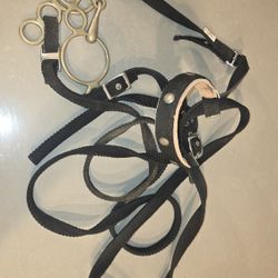 Horse Tack Bridle Bit Halter X2 