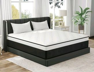 Queen Mattress White with Black Border
