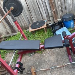 Bench Press