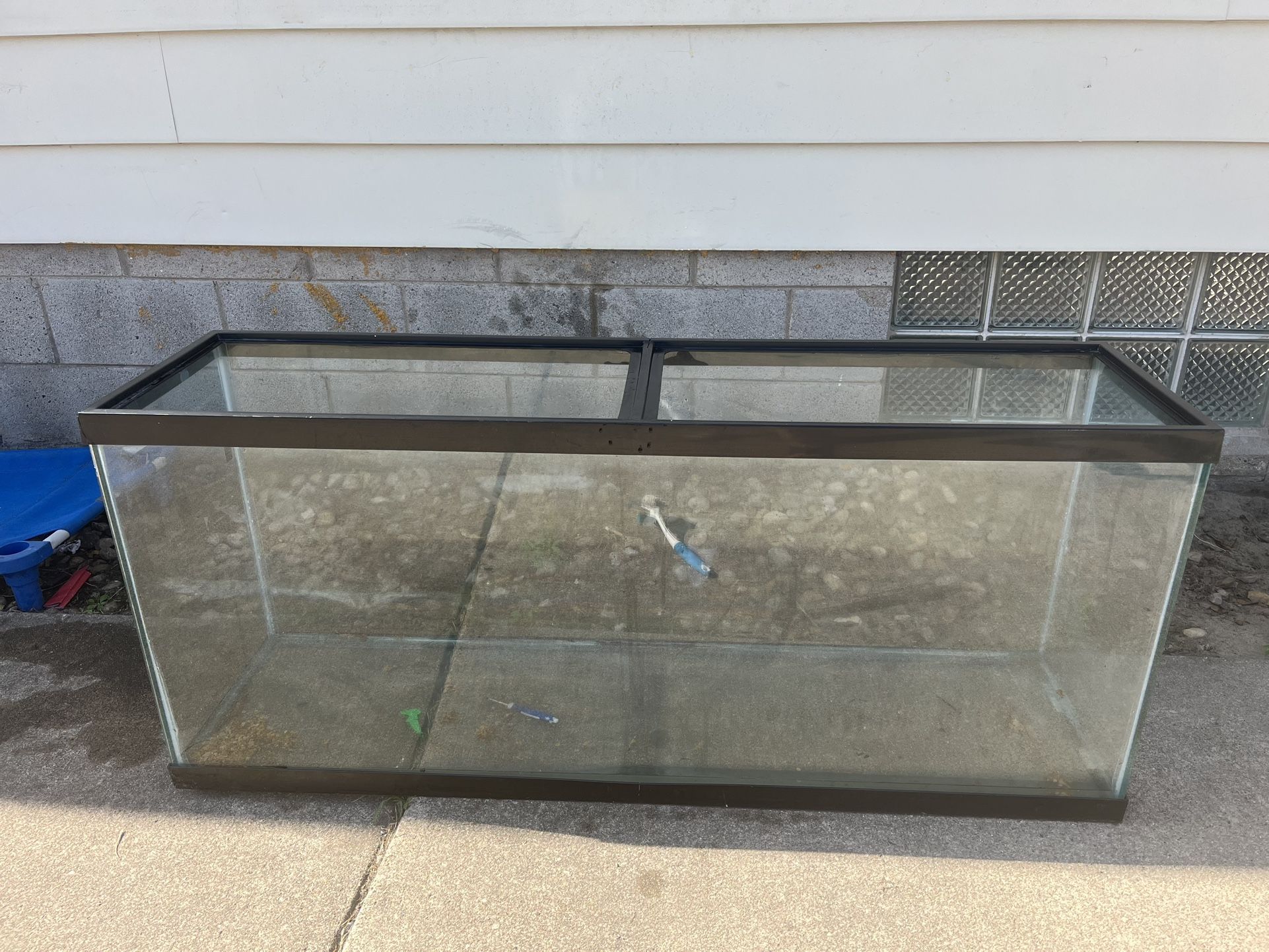 Fish Tank 