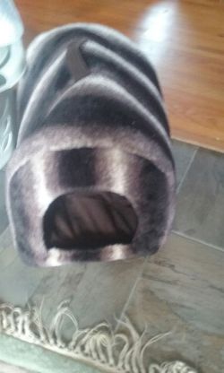 Cat bed
