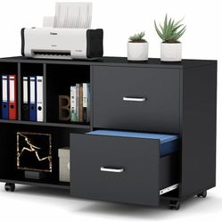 
Mobile Lateral File Cabinet with 2 Drawers