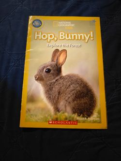 Learning to read books