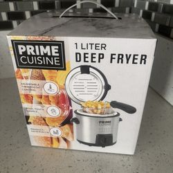 Stainless Steel 1 Liter Deep Fryer 