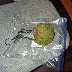 BYHER MOSSY CAVE WITH CHAIN