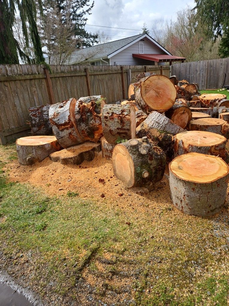 Firewood For Fireplaces And Campfires