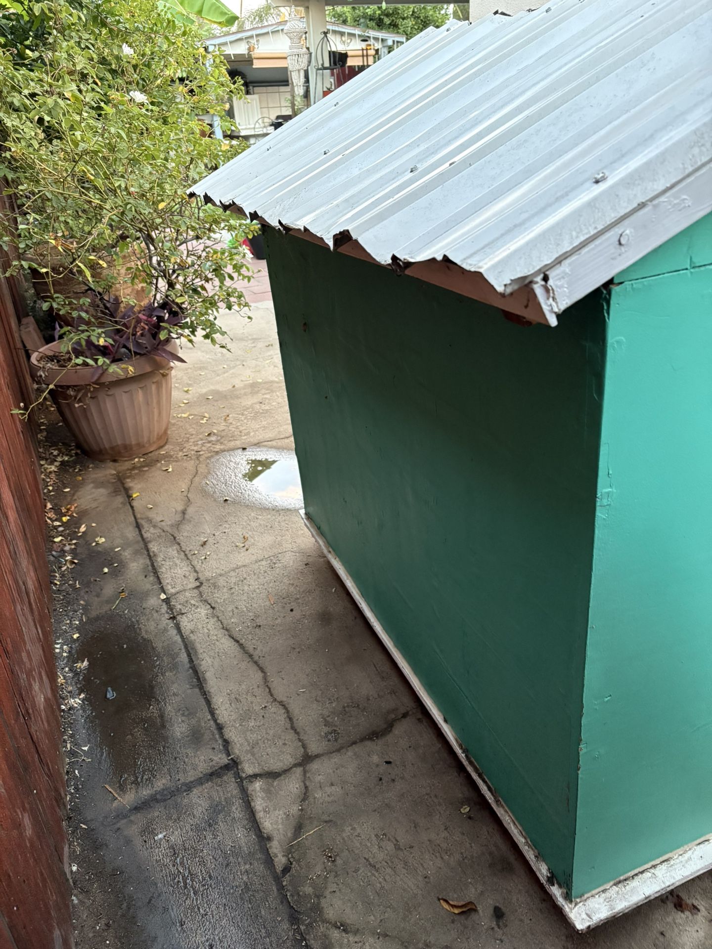 Dog  House