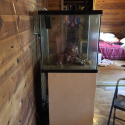 Fish Tank, Fresh Water, Saltwater