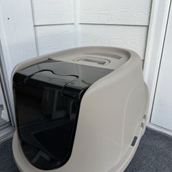 Cat toilet.