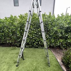 Telescopic 16 Ft Ladder