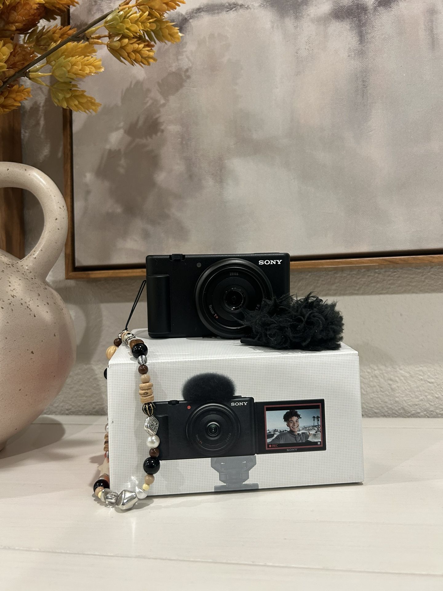 Sony ZV-1F