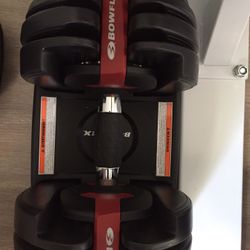 Bow flex selectech 552 pair and stand