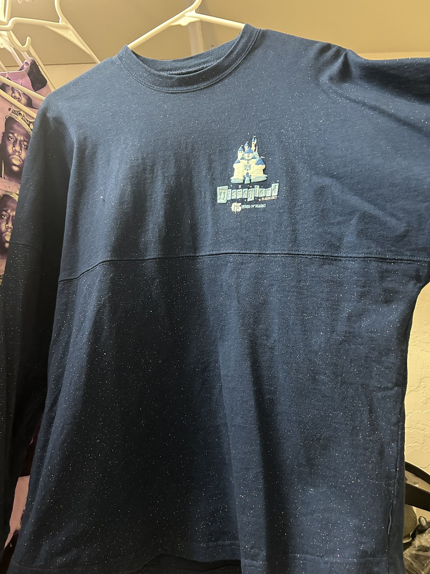 Disney Spirit Jersey