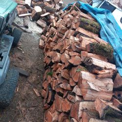 Dry Firewood 