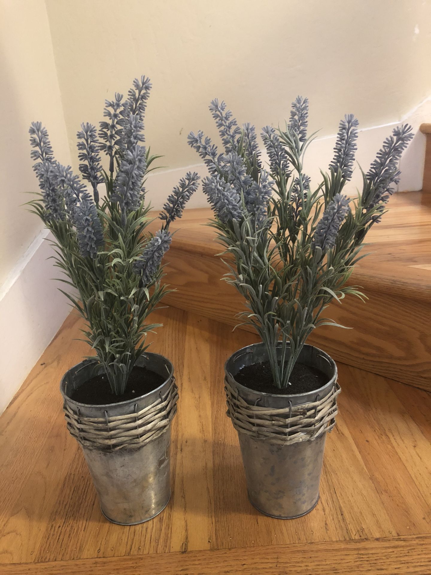 Fake lavender plants