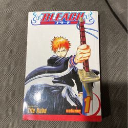 Bleach Book Volume 1