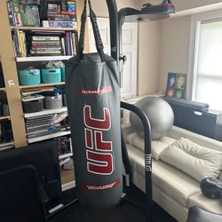 Everlast double stand with boxing bag