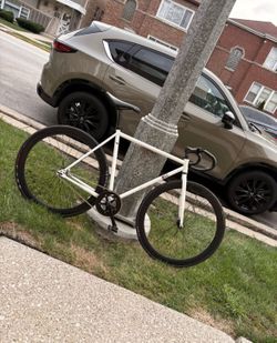 Fixie bike MSC