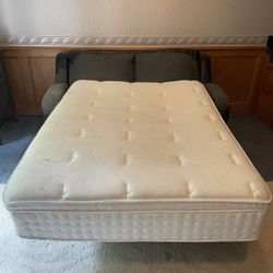 FREE Full Sized Mattress
