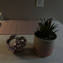 Pink Room/ House Decor