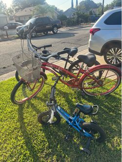 Adult Beach Cruiser