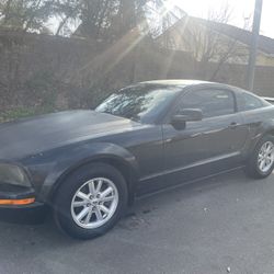 2005 Ford Mustang 