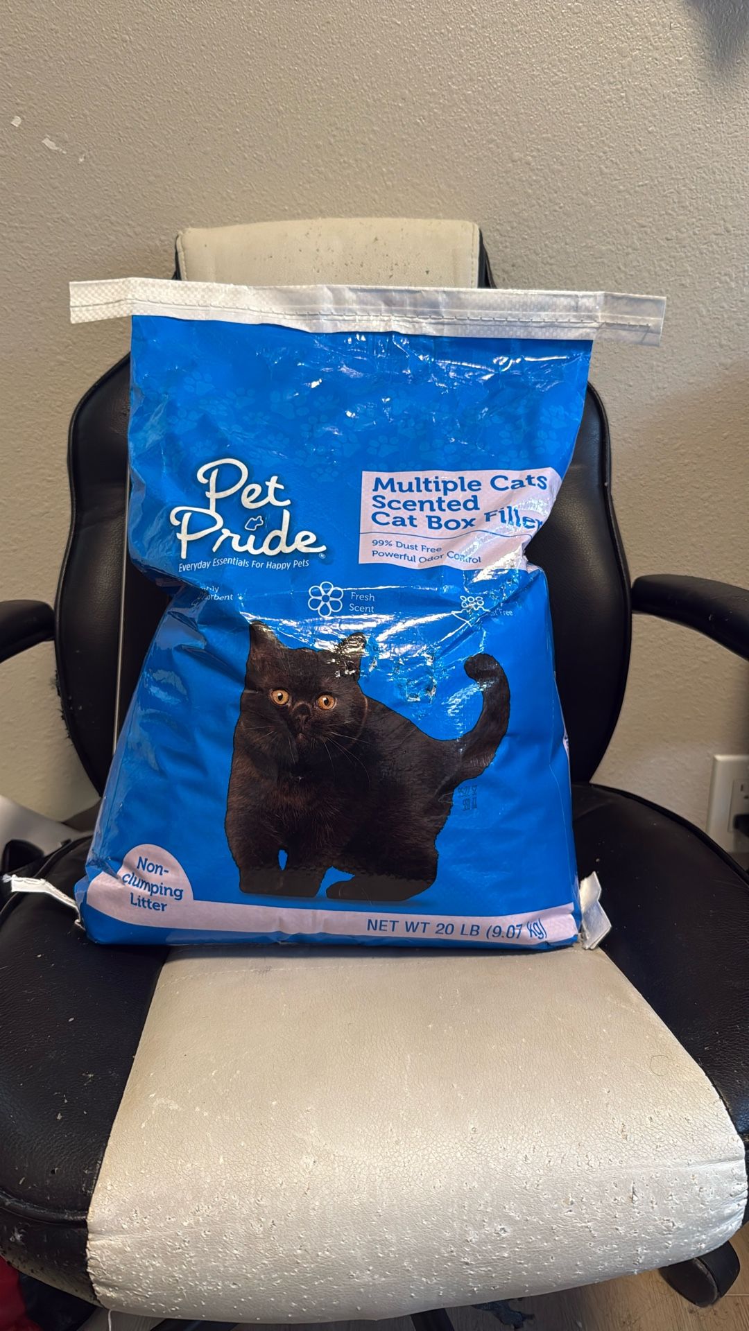 Cat Litter