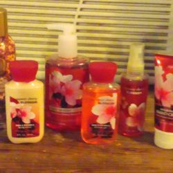 Bath And Body Works Bundle,$35 New Never Used Japanese Blossom,Hand Sanitizer,Room Spray,Fragrance Mist,Body Lotion,Shower Gel And Hand Creme