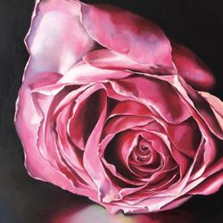 Rose Óleo Paint