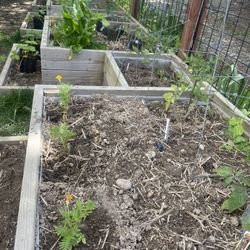 FREE Soil For Raised Bed/Other
