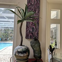 Tropical Plant Bonsai