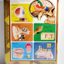 Brand New Sealed 2012 EuroGraphics 1000-piece "THE FIVE SENSES" Jigsaw Puzzle. The image shows a EuroGraphics 1000-piece jigsaw puzzle titled "The Fiv